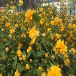 /photo/908021/人生美好/2018-04-16 145029_1_5_small.jpg